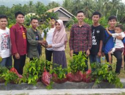 Hijaukan Desa, IMM Lampung Tanam 8000 Pohon