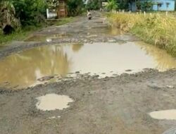 Tidak Diperhatikan Pemerintah, Warga Desa Biru Bone Keluhkan Jalan Rusak Parah Poros Penghubung Bandungan Sanrego